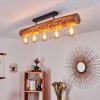 Canedo Plafondlamp Zwart, 5-lichts
