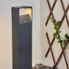 Dubona Padverlichting LED Antraciet, 1-licht