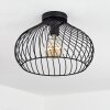 Rogsvolden Plafondlamp Zwart, 1-licht