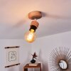 Harran Plafondlamp Chroom, Natuurlijke kleuren, 1-licht