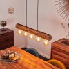 Canedo Hanglamp Zwart, 5-lichts
