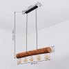 Canedo Hanglamp Zwart, 5-lichts