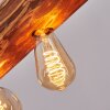 Canedo Hanglamp Zwart, 5-lichts