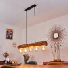 Canedo Hanglamp Zwart, 5-lichts