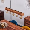 Canedo Hanglamp Zwart, 5-lichts