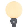 Globo OSSY Buiten muurverlichting Antraciet, 1-licht, Bewegingsmelder