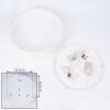Antillo Plafondlamp Wit, 3-lichts