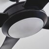 Tjerne plafondventilator LED Zwart, 1-licht