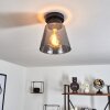 Angelshaug Plafondlamp Rookkleurig, 1-licht