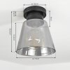 Angelshaug Plafondlamp Rookkleurig, 1-licht