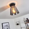 Angelshaug Plafondlamp Rookkleurig, 1-licht