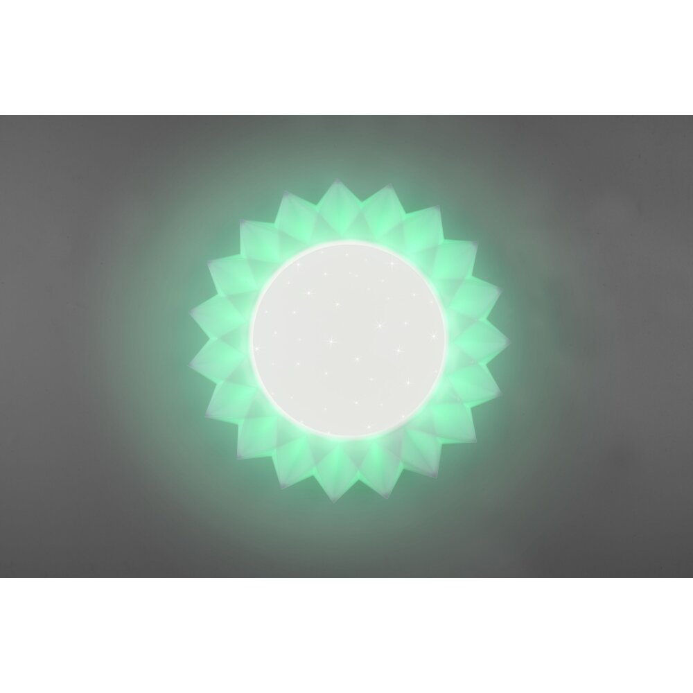 Reality Sunflower Plafondlamp LED Wit, 2-lichts, Afstandsbediening, Kleurwisselaar