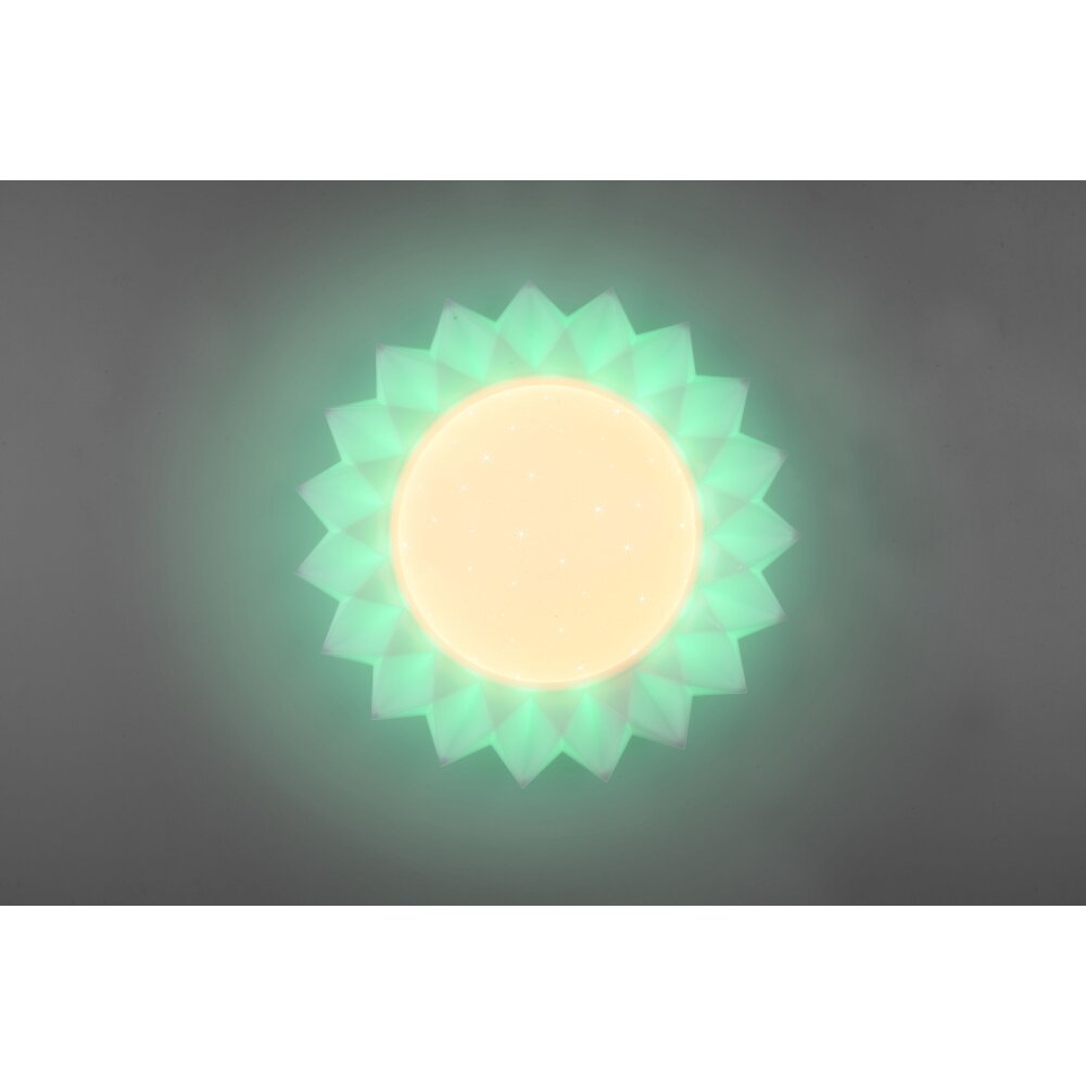 Reality Sunflower Plafondlamp LED Wit, 2-lichts, Afstandsbediening, Kleurwisselaar