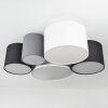 Trisett Plafondlamp Grijs, Zwart, Wit, 5-lichts