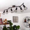 Baripada Plafondlamp Bruin, Zwart, 6-lichts