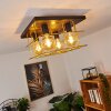Fevaag Plafondlamp Goud, Zwart, 4-lichts