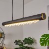 Rodeche Hanglamp LED Zwart, 1-licht Rodeche Hanglamp LED Zwart, 1-licht