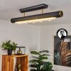 Rodeche Plafondlamp LED Messing, Zwart, 1-licht