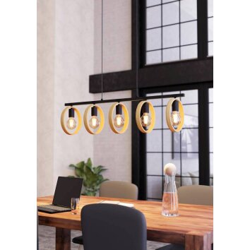 Eglo-Leuchten IPSDEN Hanglamp Zwart, 5-lichts