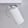 Hakamken Plafondlamp Wit, 2-lichts