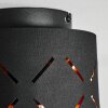 Tallaboa Plafondlamp Goud, Zwart, 1-licht