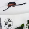 Odda Plafondlamp