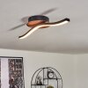 Odda Plafondlamp
