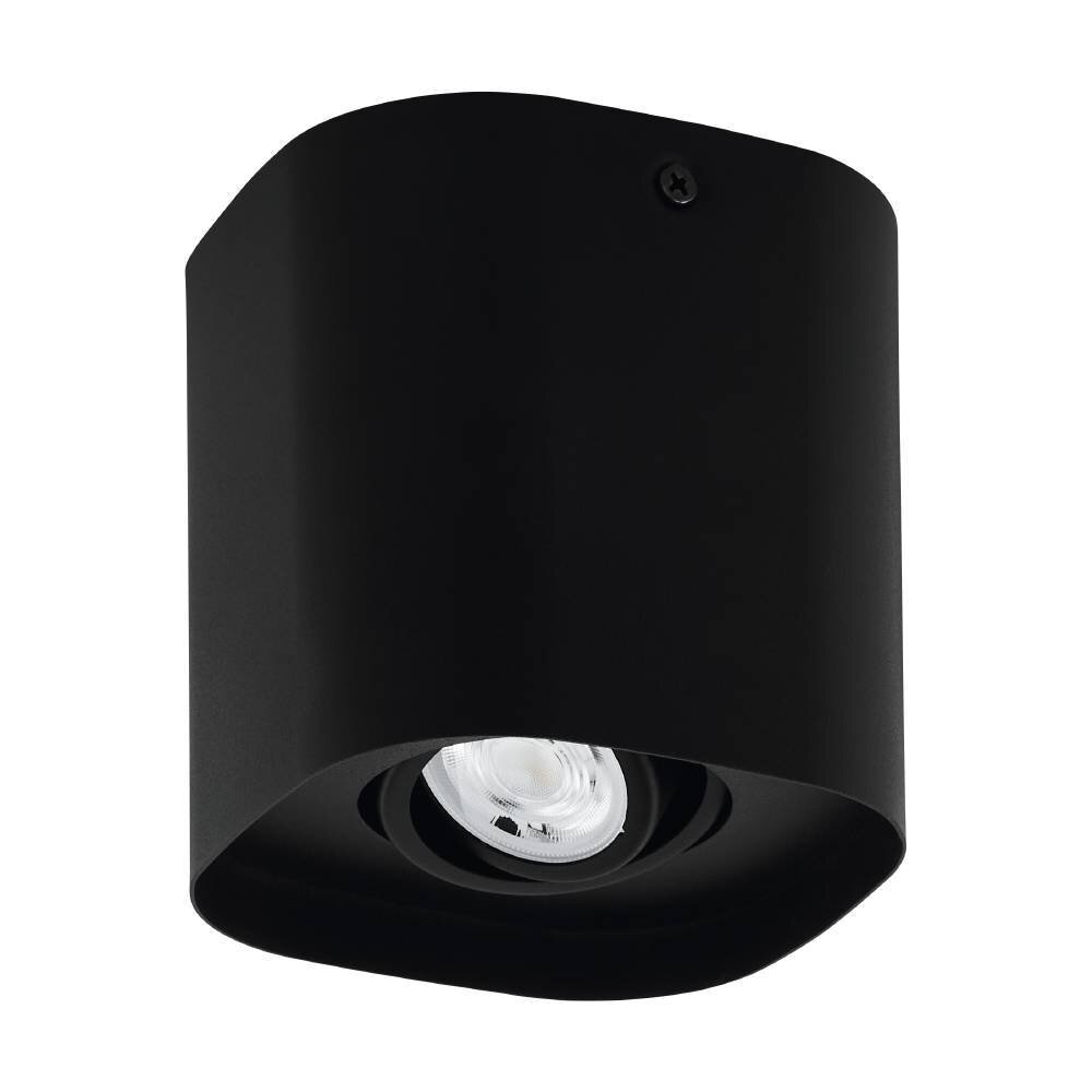 Eglo-Leuchten CAMINALES-Z Plafondlamp LED Zwart, 1-licht main product photo
