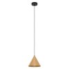 Eglo-Leuchten NARICES Hanglamp Zwart, 1-licht