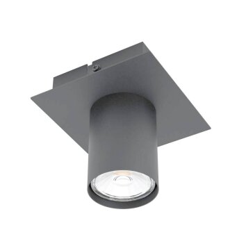 Eglo-Leuchten VALCASOTTO Plafondlamp LED Zwart, 1-licht