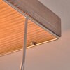 Hodne Plafondlamp Grijs, Natuurlijke kleuren, Zwart, 1-licht