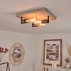 Hodne Plafondlamp Grijs, Natuurlijke kleuren, Zwart, 3-lichts