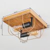 Hodne Plafondlamp Natuurlijke kleuren, Zwart, 2-lichts