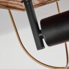 Hodne Plafondlamp Natuurlijke kleuren, Zwart, 2-lichts