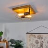 Hodne Plafondlamp Natuurlijke kleuren, Zwart, 2-lichts