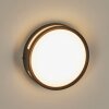 Chiavari Buiten muurverlichting LED Antraciet, 1-licht