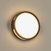 Chiavari Buiten muurverlichting LED Antraciet, 1-licht