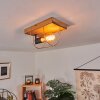 Hodne Plafondlamp Natuurlijke kleuren, Zwart, 1-licht