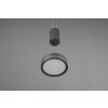 Trio-Leuchten Franklin Hanglamp LED Antraciet, 1-licht