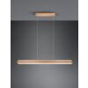 Trio-Leuchten Deacon Hanglamp LED Bruin, 1-licht