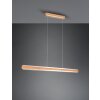 Trio-Leuchten Deacon Hanglamp LED Bruin, 1-licht