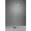 Trio-Leuchten Monza Staande lamp LED Messing, 1-licht