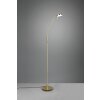 Trio-Leuchten Monza Staande lamp LED Messing, 1-licht