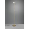 Trio-Leuchten Monza Staande lamp LED Messing, 1-licht