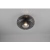 Trio-Leuchten Johann Plafondlamp Zwart, 1-licht