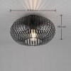 Trio-Leuchten Johann Plafondlamp Zwart, 1-licht