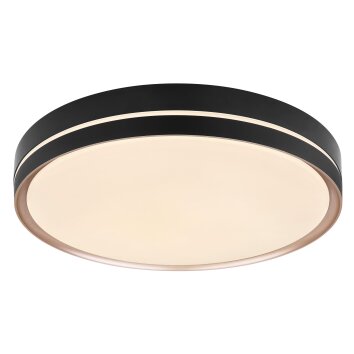 Globo MANNI Plafondlamp LED Brons, Zwart, 1-licht, Afstandsbediening