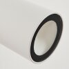 Saeter Buiten muurverlichting LED Wit, 1-licht
