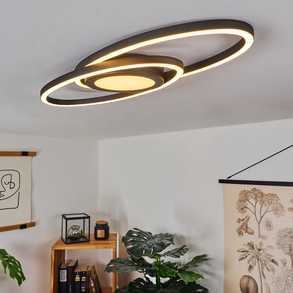 Sorte Plafondlamp LED Zwart, Wit, 1-licht main product photo