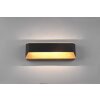 Trio-Leuchten Arino Muurlamp LED Zwart, 1-licht